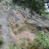 timperosse03