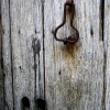 image00014