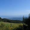 sila1