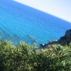 caminia12