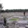 scolacium03