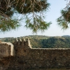 squillace11
