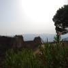 squillace12